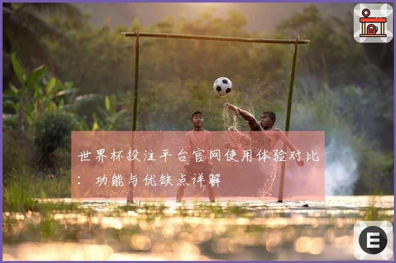 世界杯投注平台官网使用体验对比：功能与优缺点详解