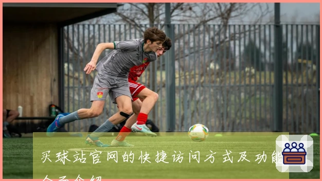 买球站官网的快捷访问方式及功能全面介绍