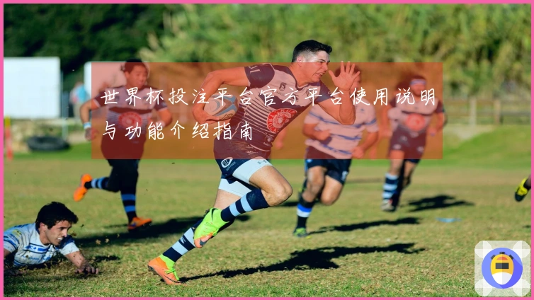 世界杯投注平台官方平台使用说明与功能介绍指南