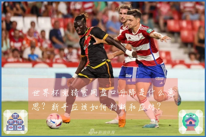 世界杯竞猜官网盘口升降是什么意思？新手应该如何判断和应对？