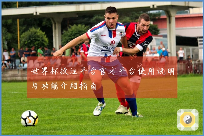 世界杯投注平台官方平台使用说明与功能介绍指南