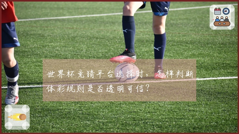 世界杯竞猜平台选择时，怎样判断体彩规则是否透明可信？
