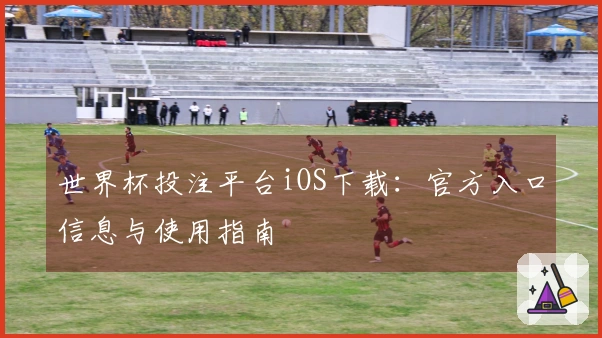 世界杯投注平台iOS下载：官方入口信息与使用指南