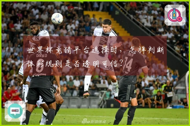 世界杯竞猜平台选择时，怎样判断体彩规则是否透明可信？