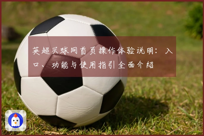 英超买球网首页操作体验说明:入口、功能与使用指引全面介绍