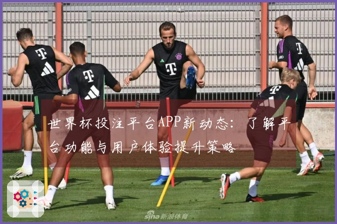 世界杯投注平台APP新动态：了解平台功能与用户体验提升策略