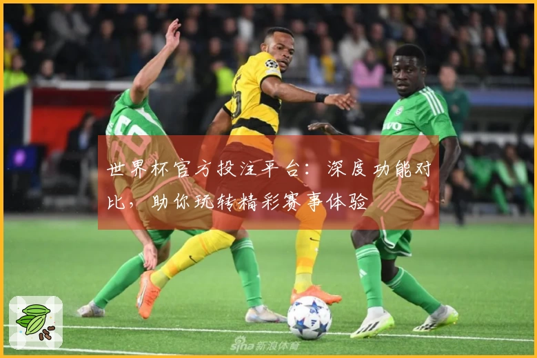 世界杯官方投注平台：深度功能对比，助你玩转精彩赛事体验