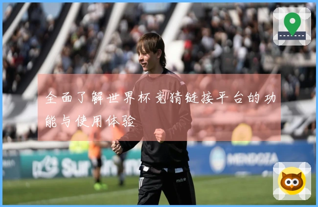 全面了解世界杯竞猜链接平台的功能与使用体验